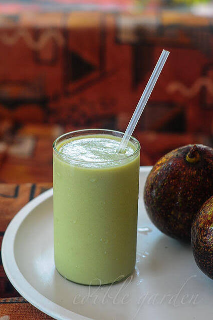 Avocado Milkshake (Seasonal)